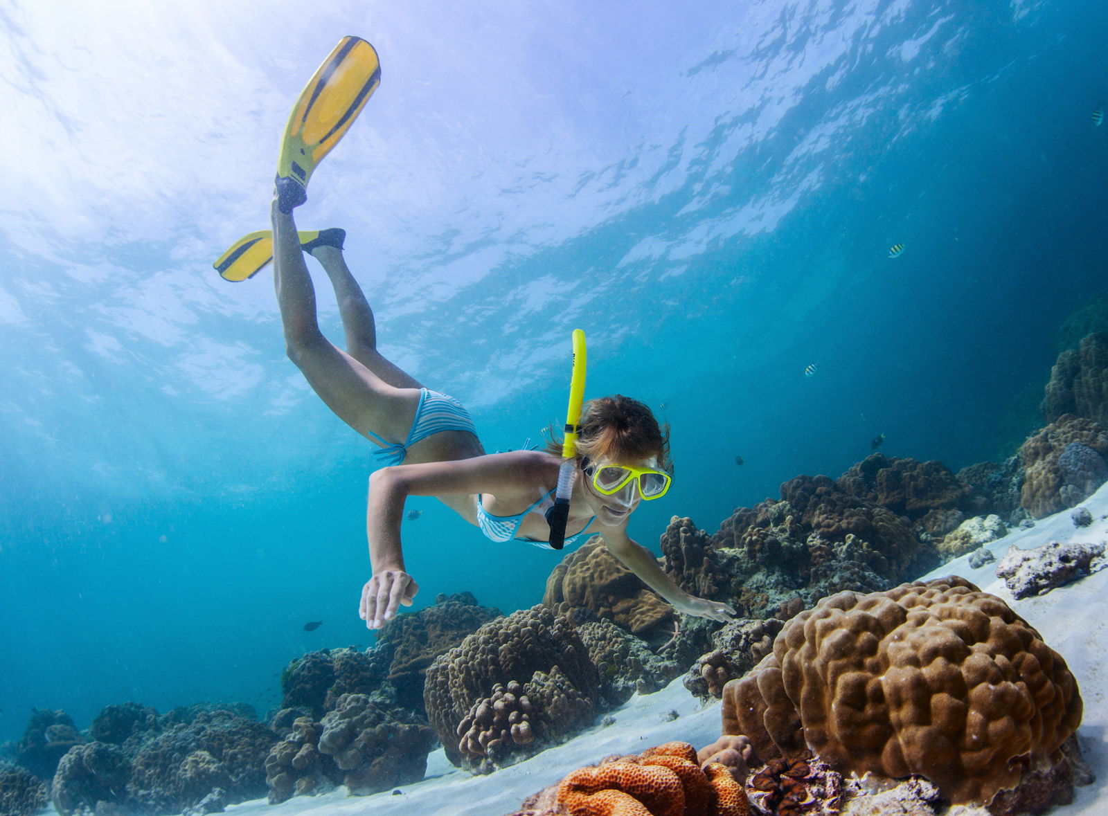 Key West Diving & Key West Snorkeling Information ...