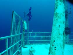 Underwater on the Vandenberg wreck in Key West